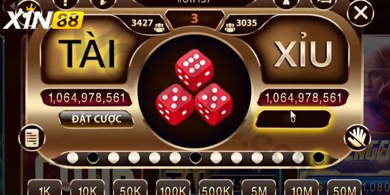 Đặt cược cảm tính, không phân tích xác suất